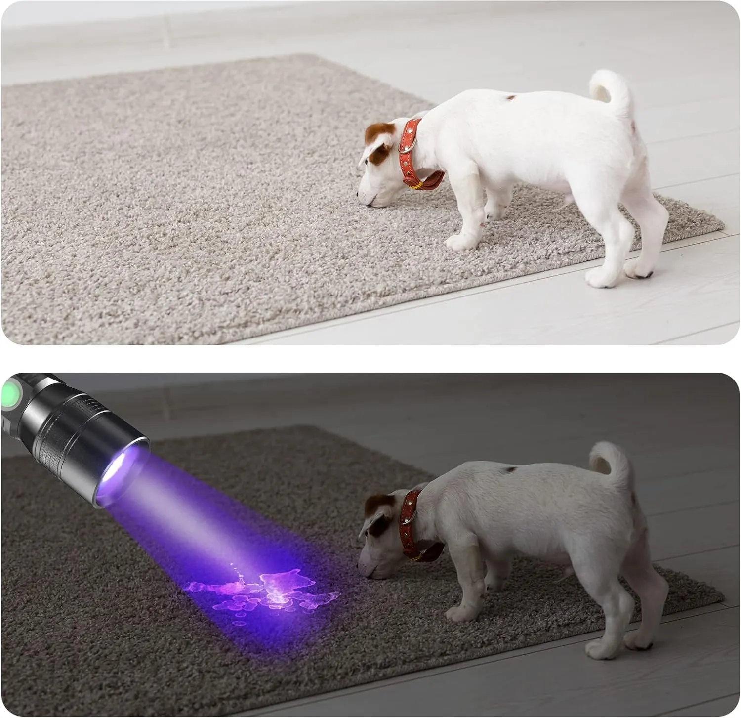 COSOOS 2 Pack UV Flashlight Black Lights, USB Rechargeable UV Light with 7 Modes, IPX 4 Waterproof, Zoomable Pet Urine Detector for Stains, Bed Bugs, Scorpions, Emergency