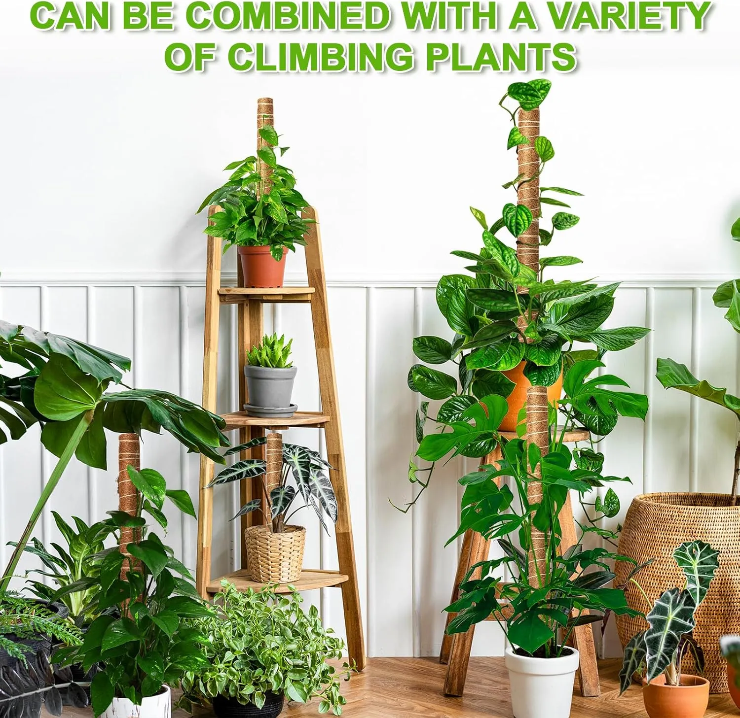 EAONE Moss Pole 96 Inch, 6 Pack 16" Monstera Plant Support for Climbing Potted Live Plants Indoor, Stackable Coco Coir Moss Sticks Monstera Stakes for Pothos Philodendron, with Garden Labels & Ties