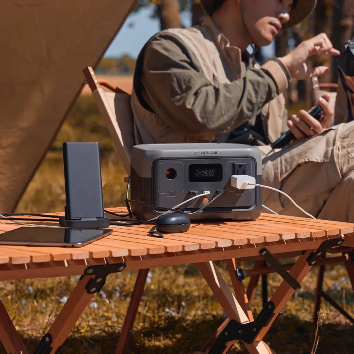 EcoFlow RIVER 2 Portable Power Solution - 256Wh - 300W - Power Unleashed - Portable Power Bank, Power Station, Charger