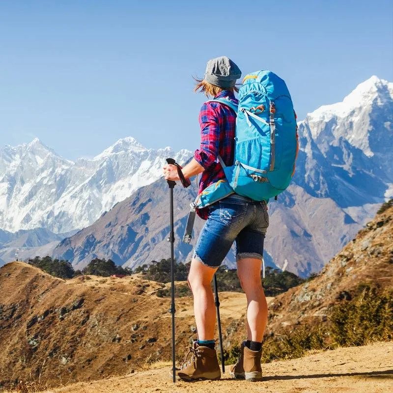 External Locking Aluminum Trekking Pole for Hiking