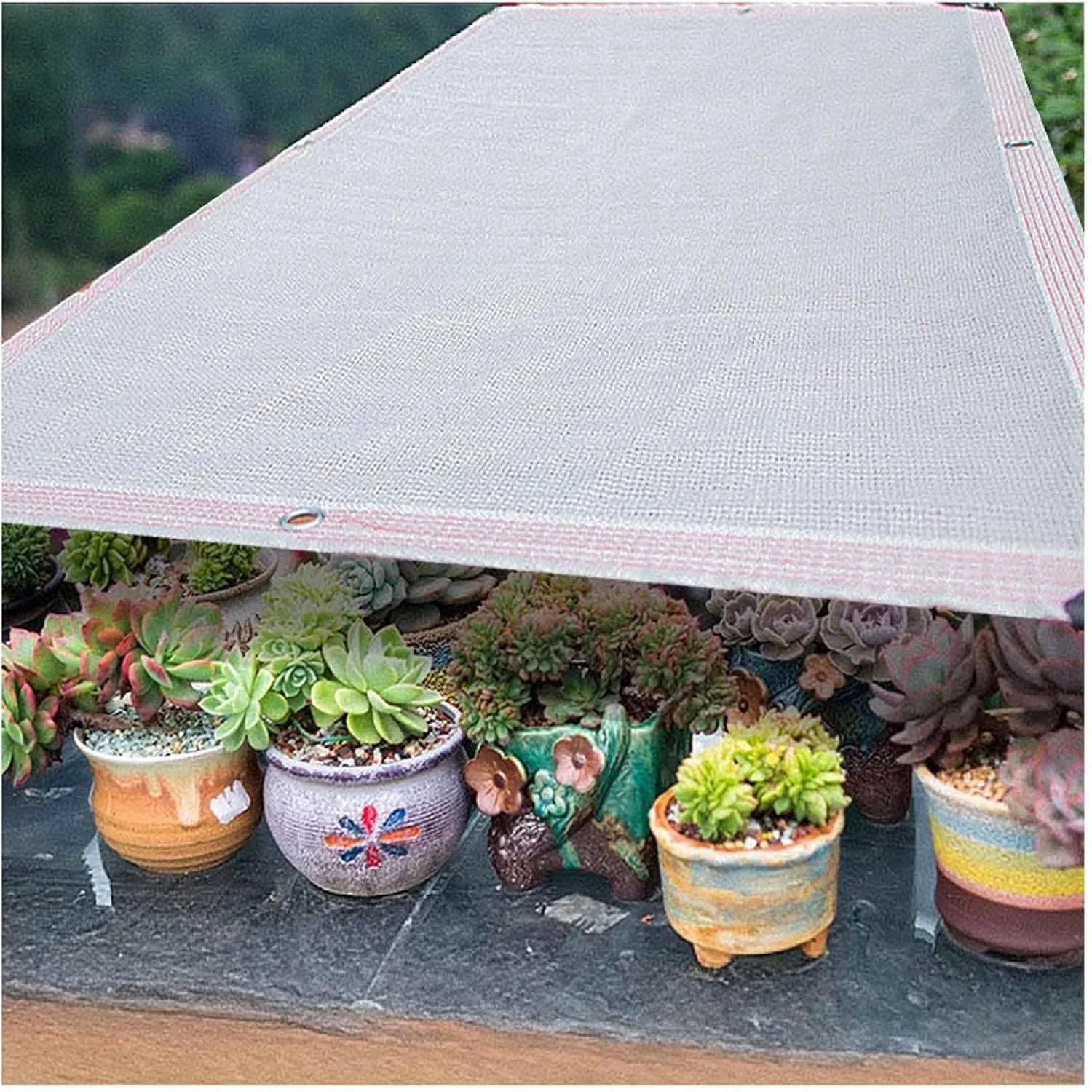 Greenhouse Cover 55% White Shade Cloth 3.3x6.6ft 3.3x10ft 6.6x10ft 10x10ft Quick Dry Ventilated Sun Shade Sail for Playground Outdoor Cafe Sun Shade(2x6.0m/6.6x19.7ft)
