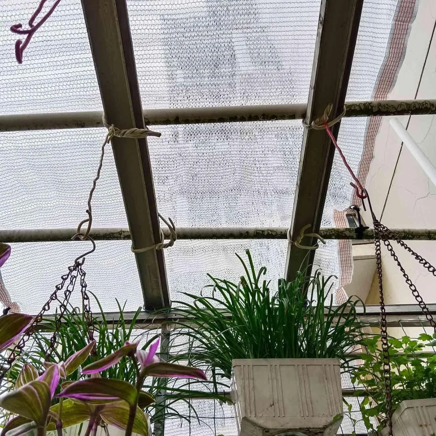 Greenhouse Cover 55% White Shade Cloth 3.3x6.6ft 3.3x10ft 6.6x10ft 10x10ft Quick Dry Ventilated Sun Shade Sail for Playground Outdoor Cafe Sun Shade(2x6.0m/6.6x19.7ft)