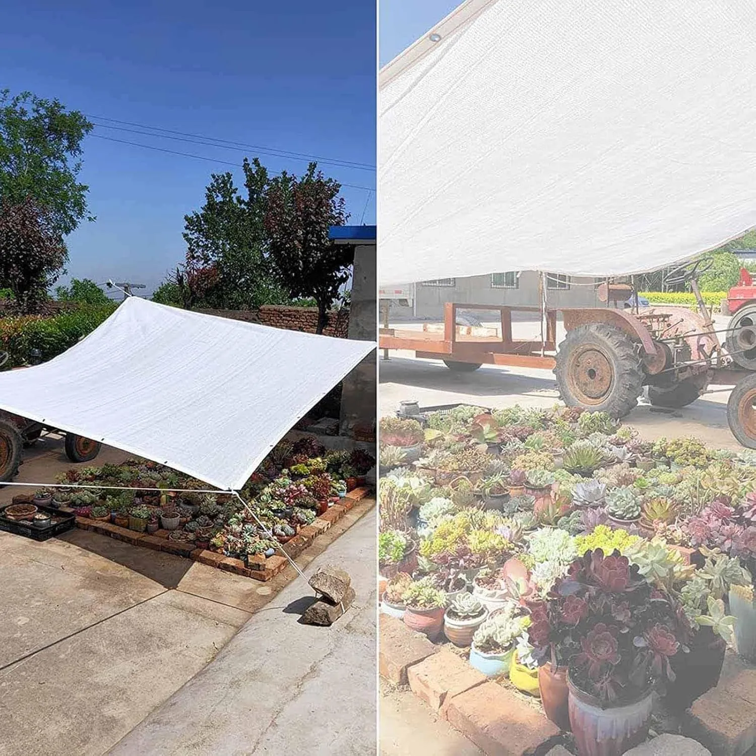 Greenhouse Cover 55% White Shade Cloth 3.3x6.6ft 3.3x10ft 6.6x10ft 10x10ft Quick Dry Ventilated Sun Shade Sail for Playground Outdoor Cafe Sun Shade(2x6.0m/6.6x19.7ft)