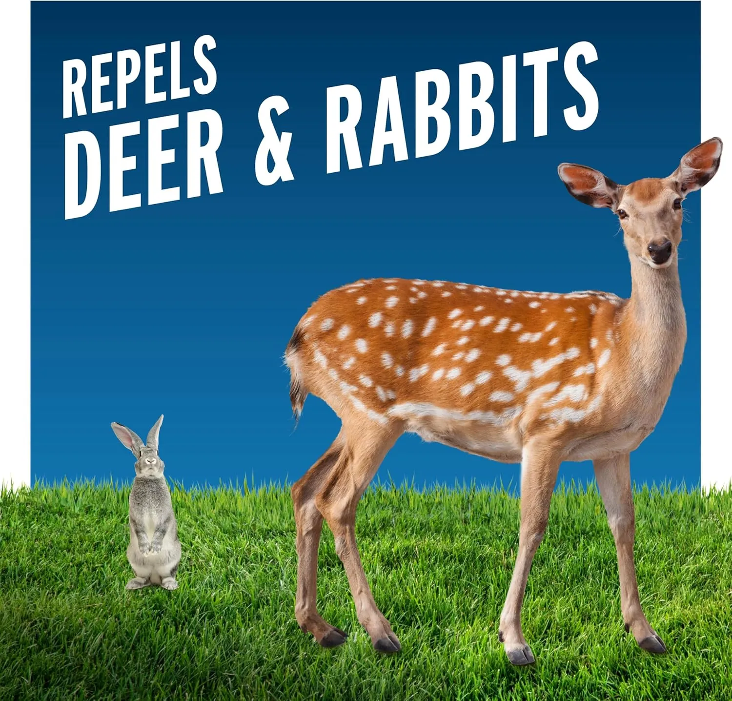 Liquid Fence Deer And Rabbit Repellent Ready-To-Use, Apply Year-Round, 1 Gallon
