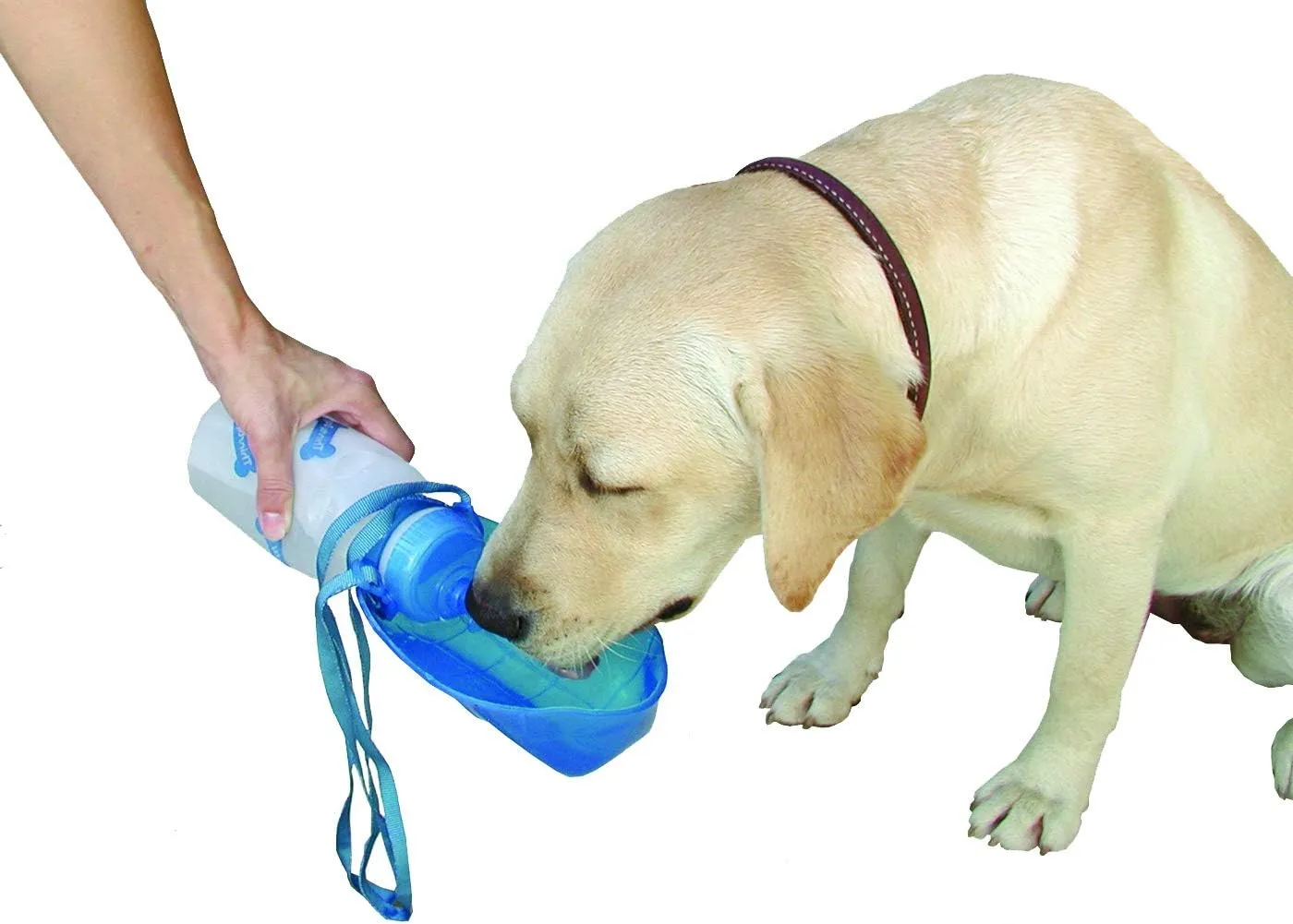 Lixit Hand Held Foldable Travel Hiking Outdoor Watering Bottle Bowl for Dogs (Pack of 1, Granite)