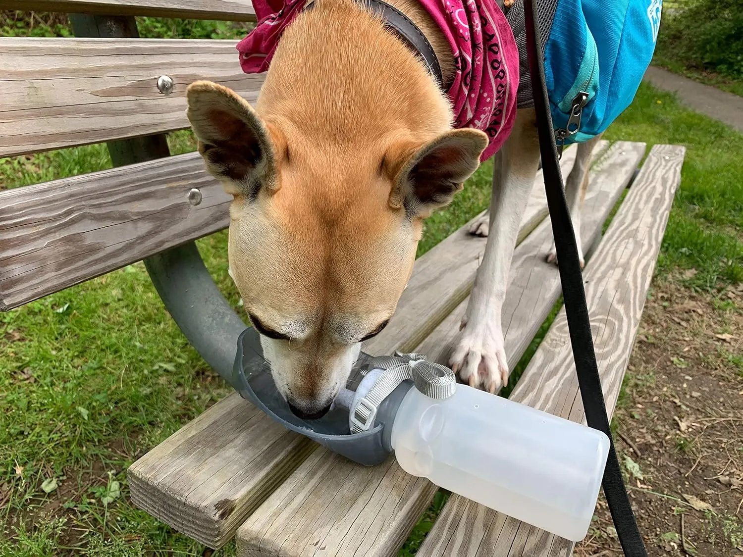 Lixit Hand Held Foldable Travel Hiking Outdoor Watering Bottle Bowl for Dogs (Pack of 1, Granite)