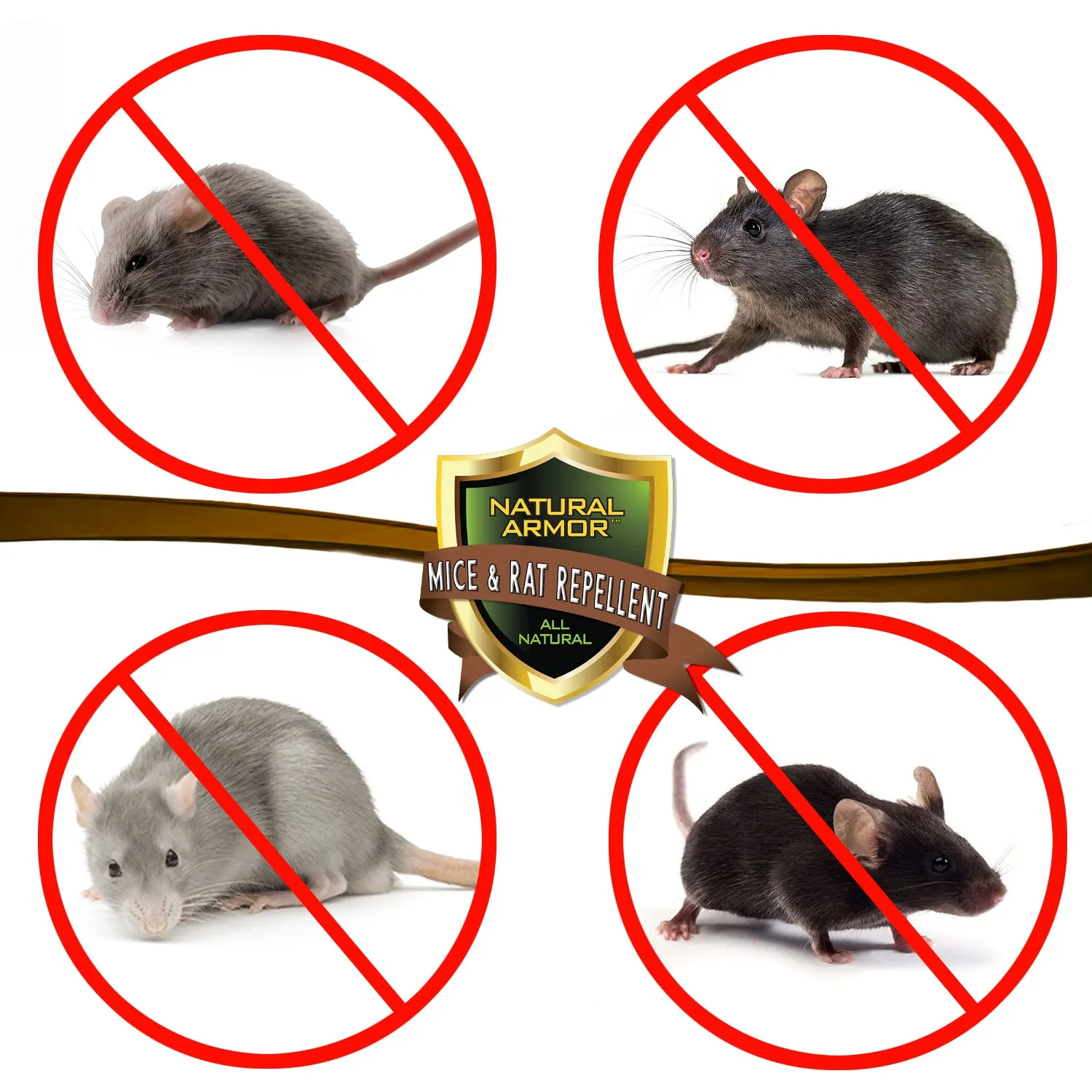 Mice & Rat Repellent -- GALLON (128oz)