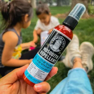Mosquito Repellent Spray (2-Pack)