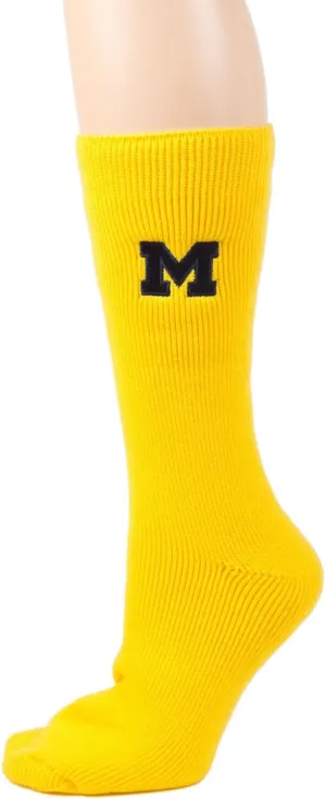 NCAA Michigan Wolverines Maize Thermal Sock Bag, Yellow/Blue, One Size