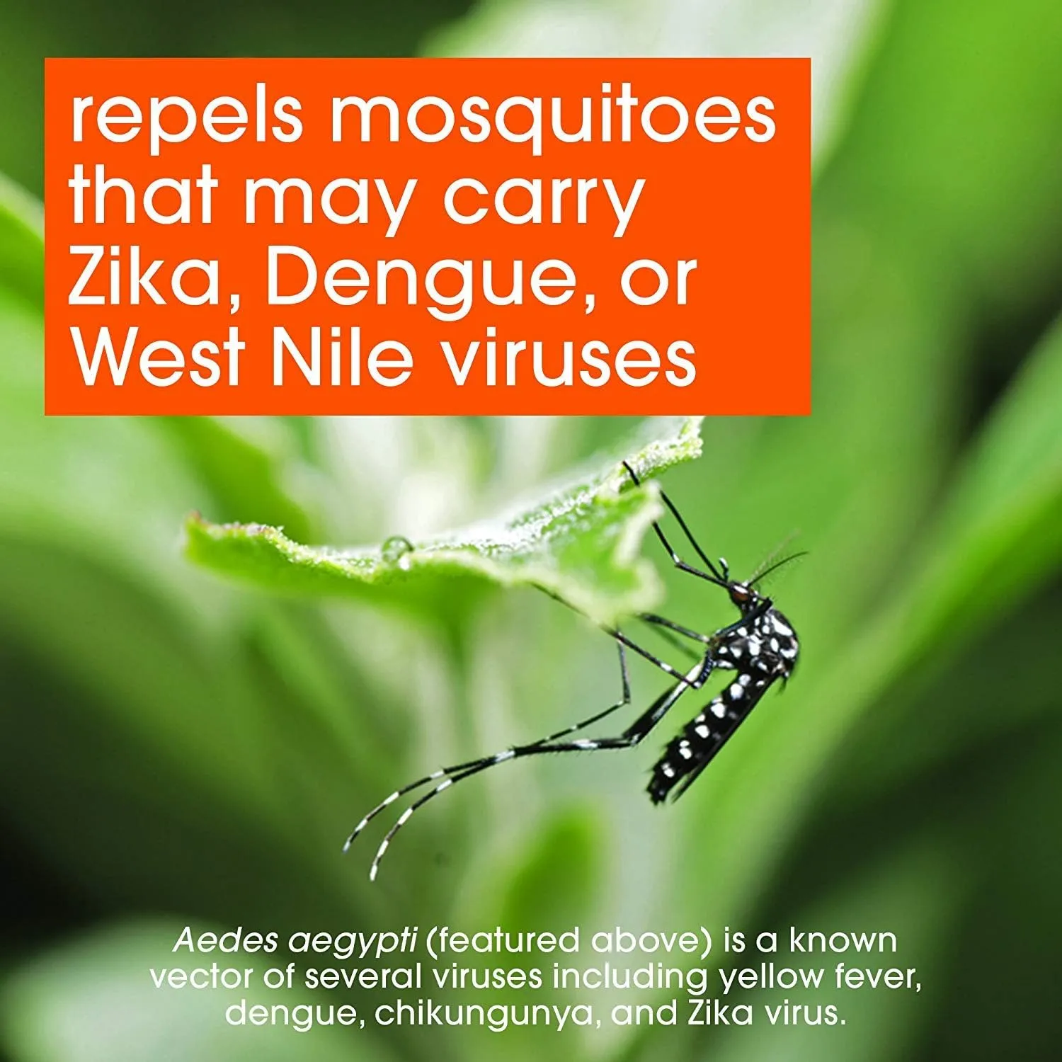 OFF! Deep Woods Insect Repellent VII, 6 oz (6 Count)