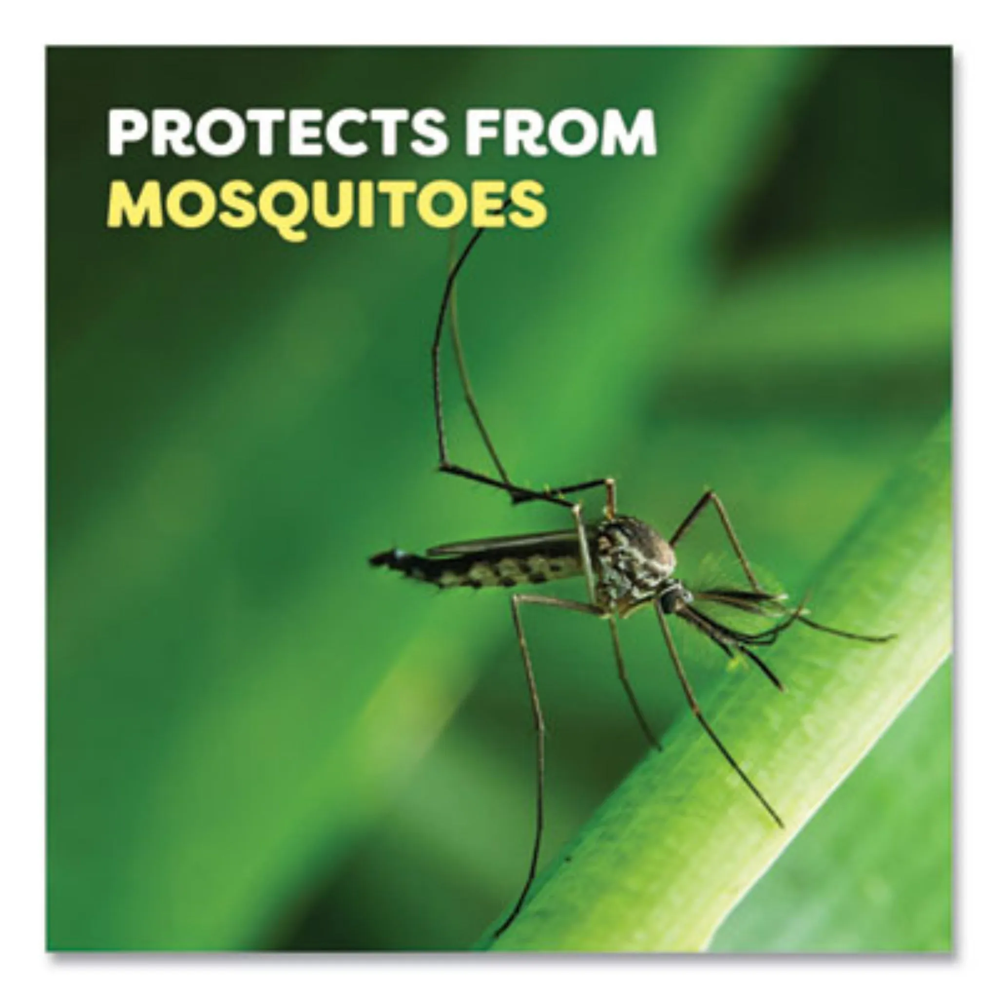 SC JOHNSON SJN334689 Deep Woods Insect Repellent, 6 oz Aerosol Spray, Carton of 12
