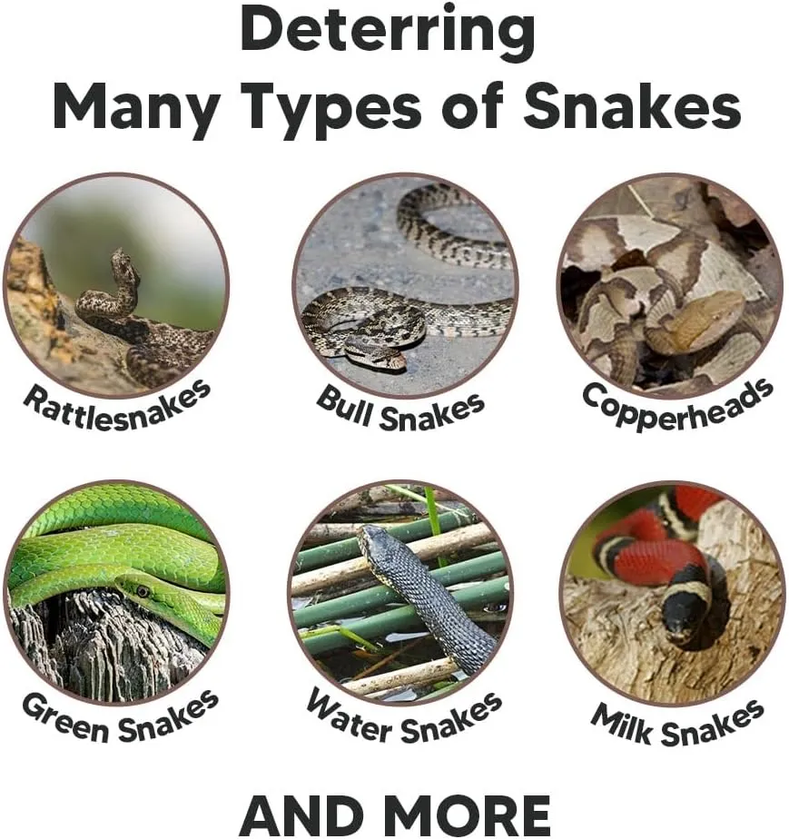 Snake Repellents for Yard Powerful, Snakes Repellents for Outdoors, Keep Snake Away Repellent for Home, Pet Safe,Rattlesnake Repellent 8 Balls/Bag