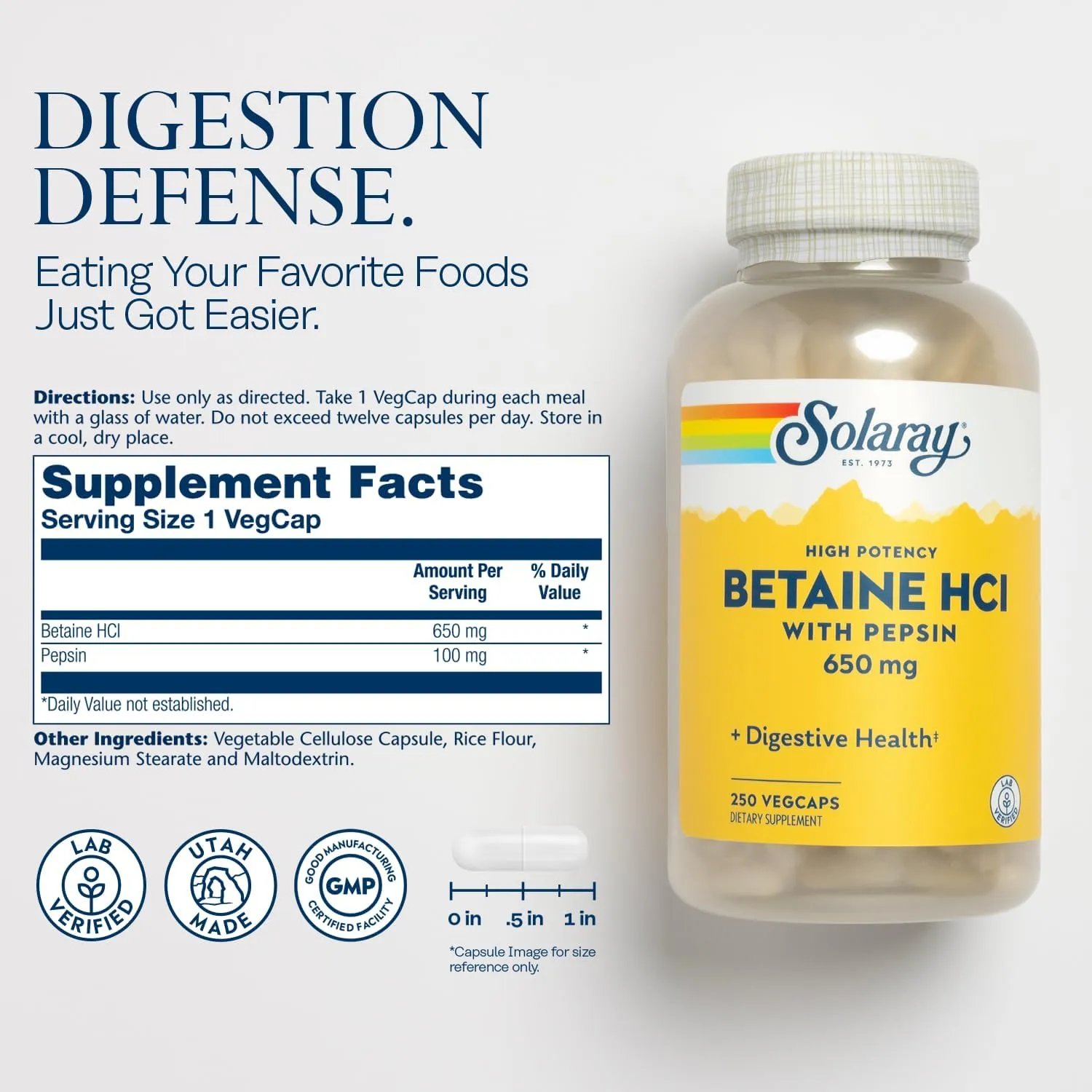 Solaray High Potency Betaine HCL with Pepsin - Hydrochloric Acid Supplement for Digestive Health - with Betaine Hydrochloride and Digestive Enzymes - Gut Health Support - 60-Day Guarantee, 250 VegCaps