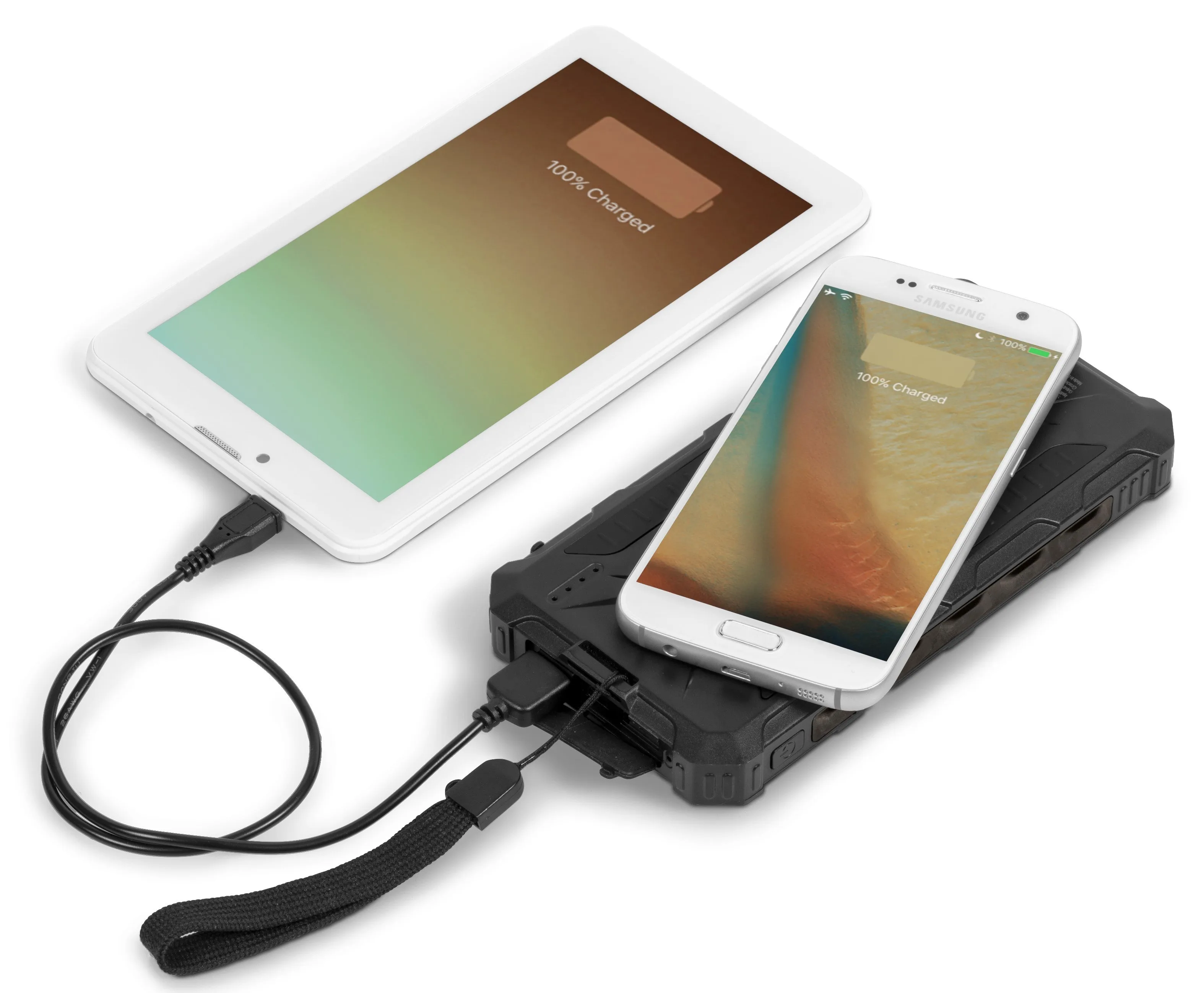 Swiss Cougar Singapore 12000mAh Wireless Powerbank
